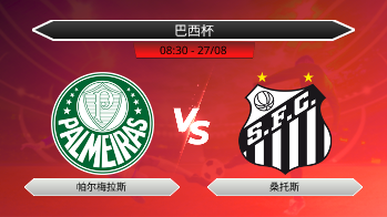 巴西杯 - 帕尔梅拉斯 vs 桑托斯